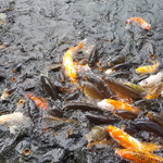 20190329_143518.jpg